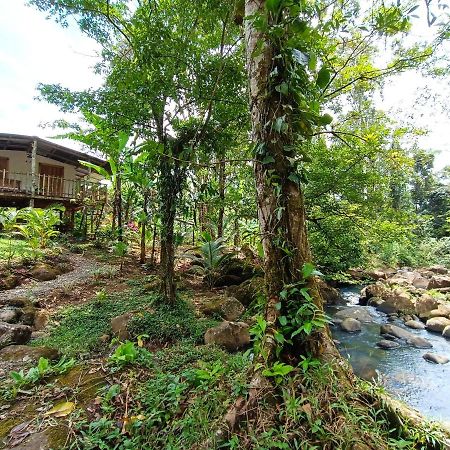 Cabana Vista Rio Celeste Экстерьер фото