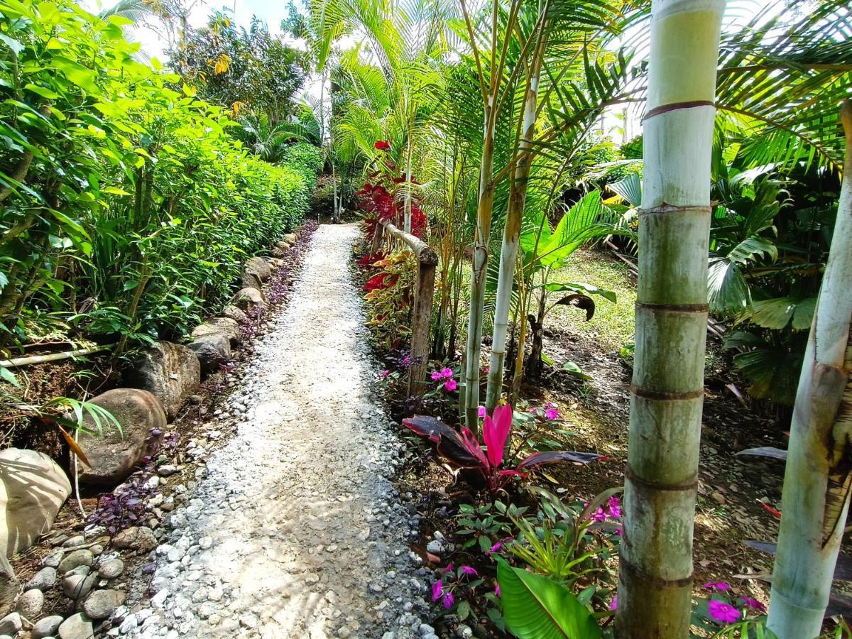 Cabana Vista Rio Celeste Экстерьер фото
