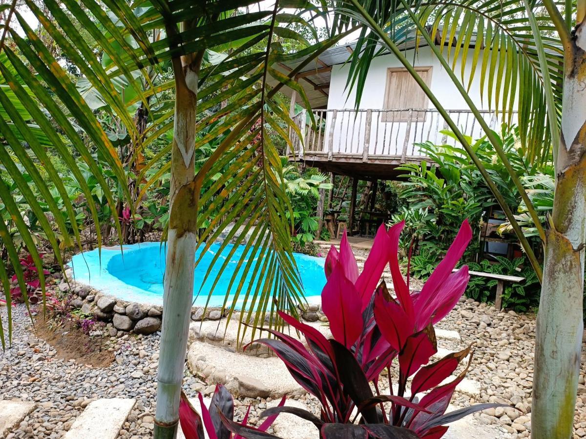 Cabana Vista Rio Celeste Экстерьер фото